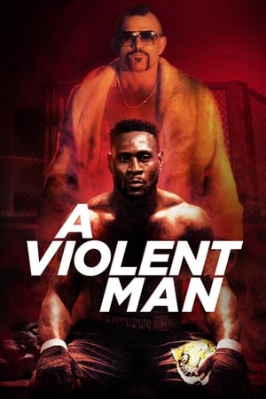A Violent Man 2017 Dual Audio | Dubbed Hindi Movie WebRip [960MB]