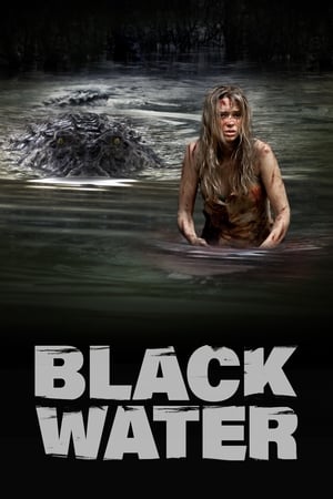 Black Water (2007) Dual Audio | Dubbed Hindi Movie BluRay 300MB