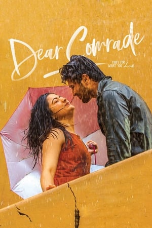 Dear Comrade 2019 ( - Telugu) Dual Audio | Dubbed Hindi Movie UnCut HDRip 450MB