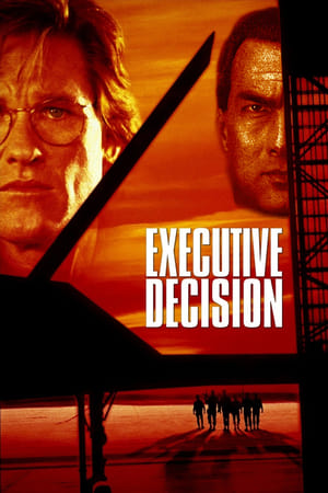 Executive Decision (1996) Dual Audio | Dubbed Hindi Movie BluRay 400MB