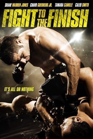 Fight To The Finish (2016) Dual Audio | Dubbed Hindi Movie x264 With ESubs