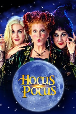 Hocus Pocus 1993 Dual Audio | Dubbed Hindi Movie BluRay [850MB]