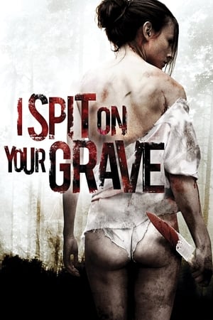 I Spit on Your Grave 2010 Dual Audio | Dubbed Hindi Movie BluRay [1.1GB]