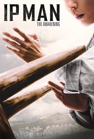 Ip Man: The Awakening (2022) Dual Audio HDRip | Dubbed Hindi Movie – 480p