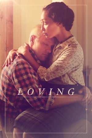 Loving (2016) Dual Audio | Dubbed Hindi Movie BluRay 420MB