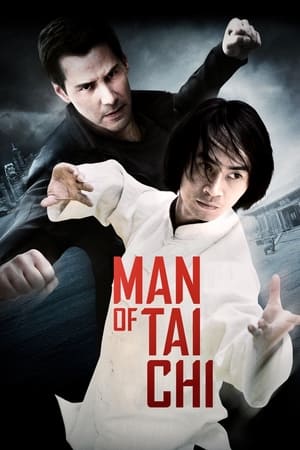 Man of Tai Chi (2013) Dual Audio HDRip | Dubbed Hindi Movie – 480p