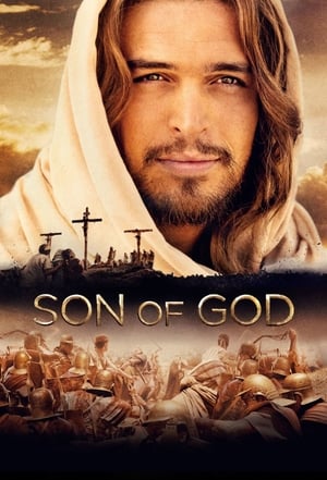 Son of God 2014 Dual Audio | Dubbed Hindi Movie BluRay 450MB