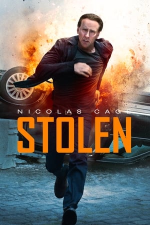 Stolen (2012) Dual Audio | Dubbed Hindi Movie BluRay [800MB] ESubs
