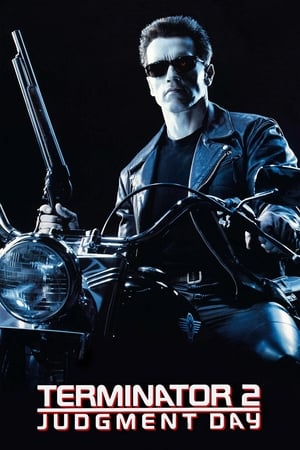 Terminator 2 (1991) Dual Audio | Dubbed Hindi Movie BluRay [950MB]