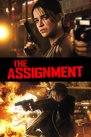 The Assignment (2016) Dual Audio | Dubbed Hindi Movie BluRay 300MB