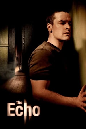 The Echo (2008) Dual Audio | Dubbed Hindi Movie BluRay 300MB