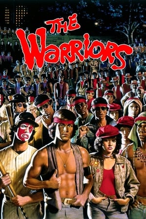 The Warriors 1979 Dual Audio | Dubbed Hindi Movie BluRay [830MB]