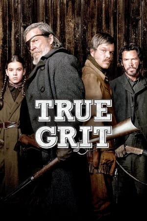 True Grit (2010) Dual Audio | Dubbed Hindi Movie BluRay 350MB