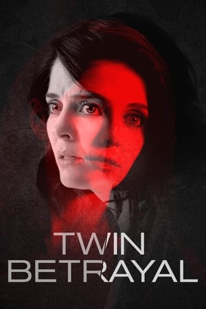 Twin Betrayal (2018) Dual Audio | Dubbed Hindi Movie HDRip [640MB]