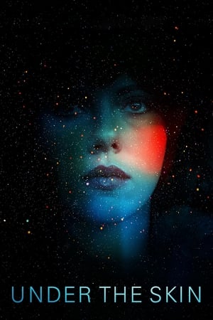 Under the Skin 2013 Dual Audio | Dubbed Hindi Movie BluRay 350MB
