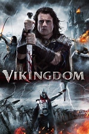 Vikingdom 2013 Dual Audio | Dubbed Hindi Movie BluRay 380MB